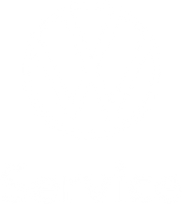 VW Service Logo